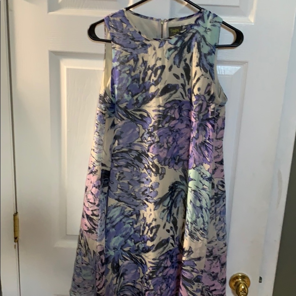 A Pea in a Pod Dress- Like New